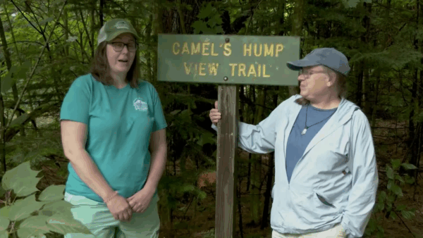 VT Master Naturalist- Summer on Camel’s Hump