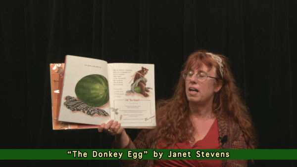 Story Time- Donkey Egg