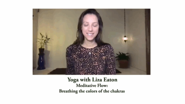 Yoga w/ Liza- Meditative Flow & Color of the Chakras