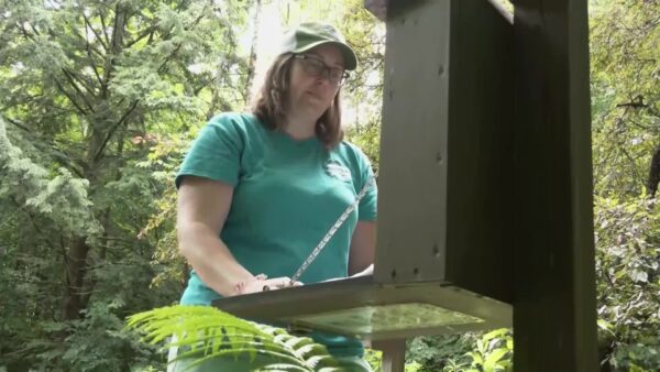 Plymouth Selectboard 2/6