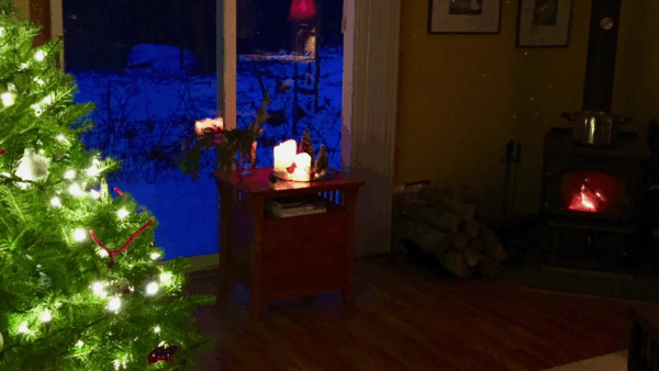 Susan Haefner & Lisa Brigantino- Silent Night / Auld Lang Syne