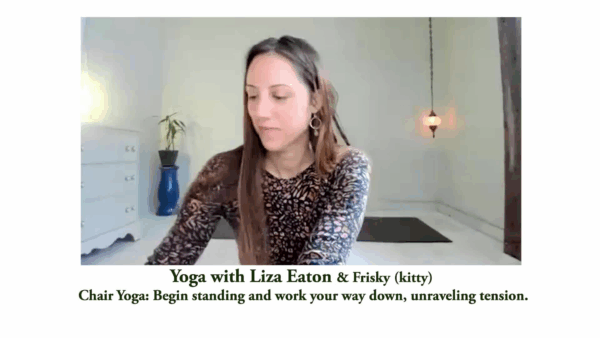 Yoga with Liza & Frisky (Kitty)