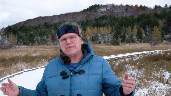 Vermont Master Naturalist- Wildlife Habitat in Winter