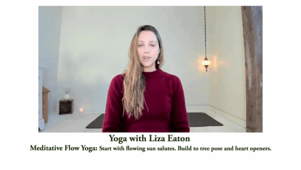Yoga with Liza- Meditative Flow