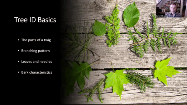 Stump the Forester- Crowdsourced Tree ID