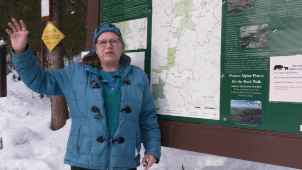 VT Master Naturalist- Winter on Camel’s Hump