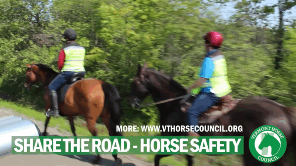 Horse Safety- Share the Road PSA