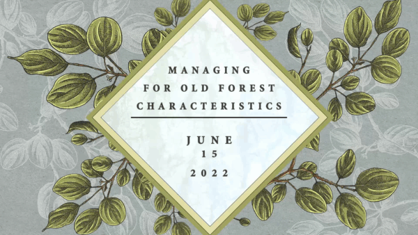 Vermont Land Trust- Old Forest Characteristics
