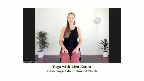 Yoga with Liza- Chair Yoga, Take It Down A Notch