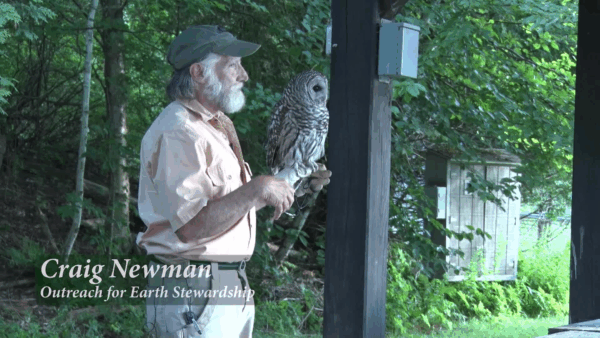 Owls of Vermont