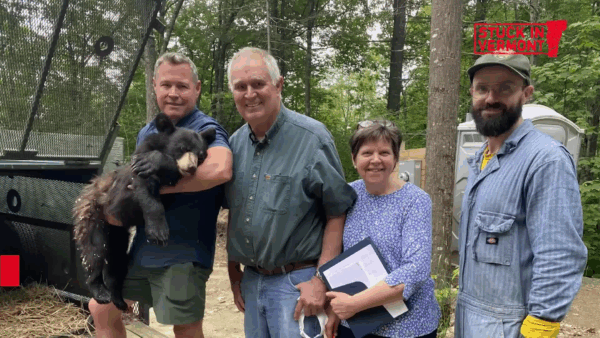 Stuck in Vermont- Kilham Bear Center