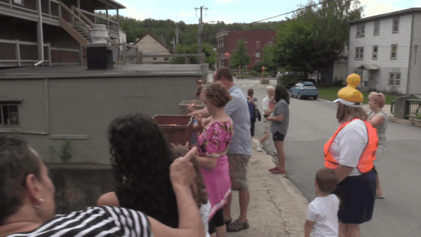 Best of VT Summer Festival