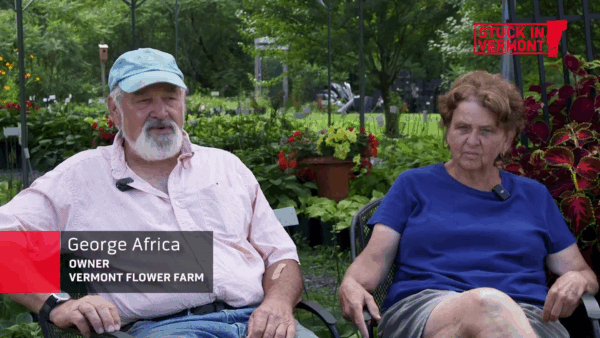 Stuck in Vermont- VT Flower Farm