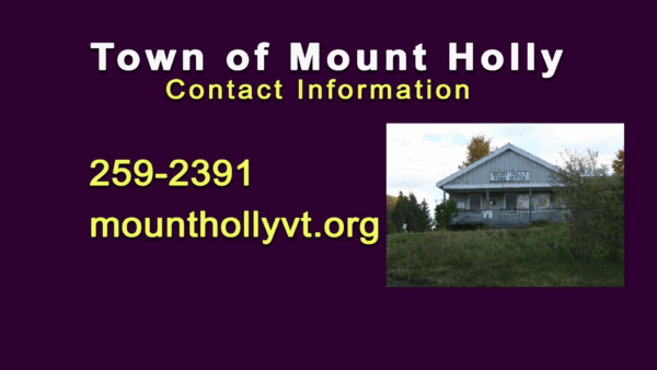Mount Holly Selectboard 11/15