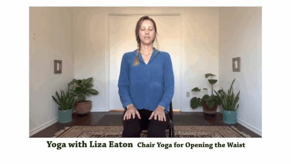 Yoga with Liza- Opening the Waist