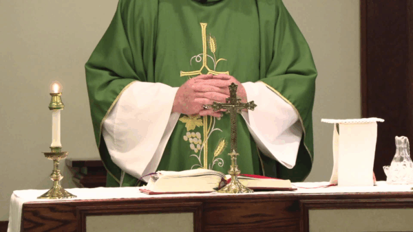 Catholic Mass- Seventh Sunday in Ordinary Time