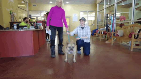 Lucy Mackenzie Humane Society’s Adoptables