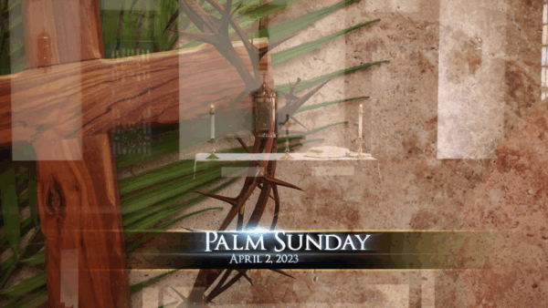 Catholic Mass- Palm Sunday