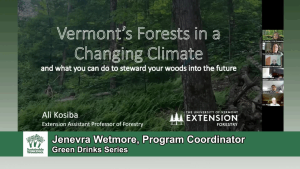 Green Drinks- VT’s Forests in a Changing Climate