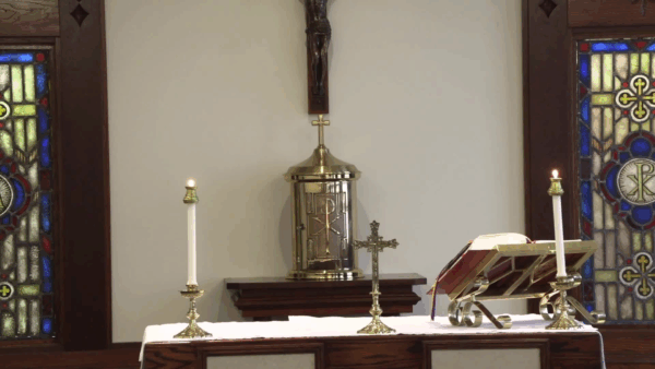 Catholic Mass- 15th Sunday in Ordinary Time