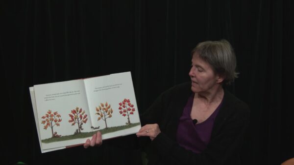 Story Time- Little Tree