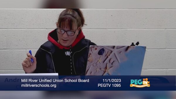 Mill River Unified Union School District Board 11/1
