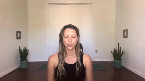 Yoga With Liza- Chair Yoga Balancing and Opening