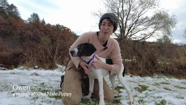 Lucy Mackenzie Humane Society- Adoptables