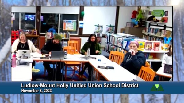 Ludlow-Mount Holly Unified Union School District 11/8
