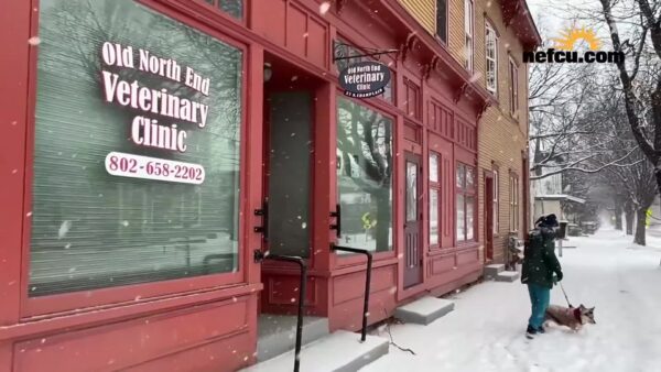 Stuck in Vermont-  Low-Cost Veterinarian