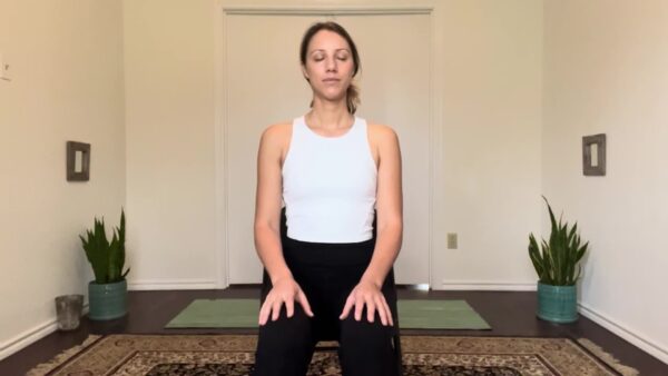 Yoga with Liza- Building Fluidity & Cultivating Positive Energy