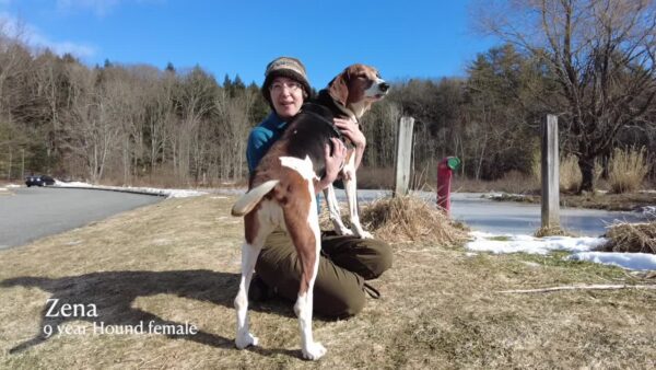 Lucy Mackenzie Humane Society- Adoptables