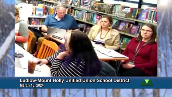 Ludlow-Mount Holly Unified Union School District 3/13