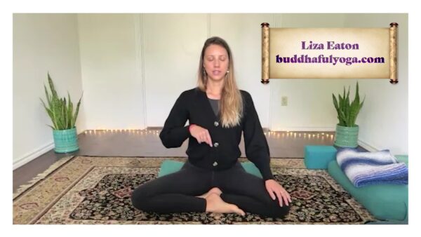 Yoga with Liza- Gentle Flow and Restore
