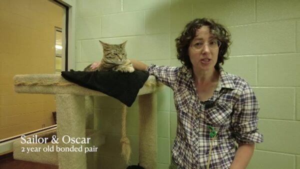 Lucy Mackenzie Humane Society- Adoptables