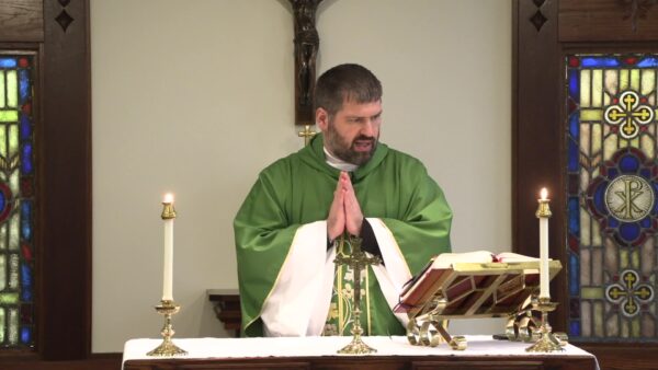 Catholic Mass- 11th Sunday in Ordinary Time