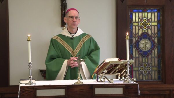 Catholic Mass- 14th Sunday in Ordinary Time