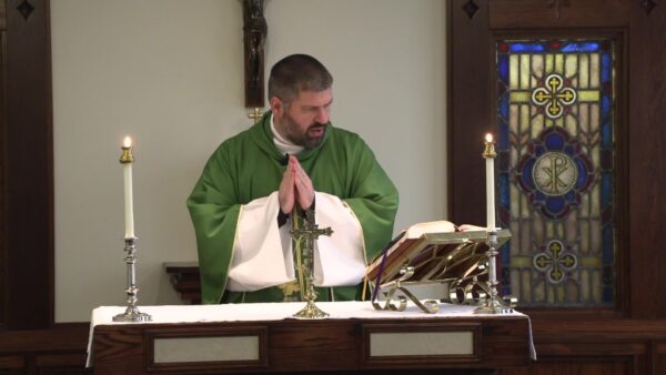 Catholic Mass- 15th Sunday in Ordinary Time