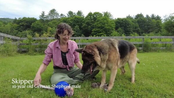 Lucy Mackenzie Humane Society- Adoptables