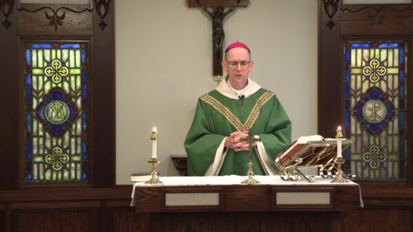 Catholic Mass- 21st Sunday in Ordinary Time