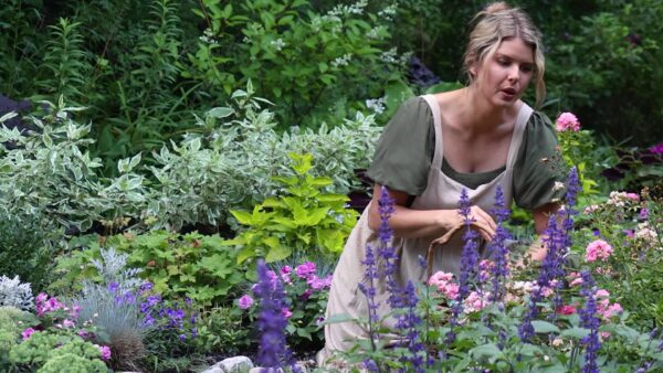 Our Gardens- Wild