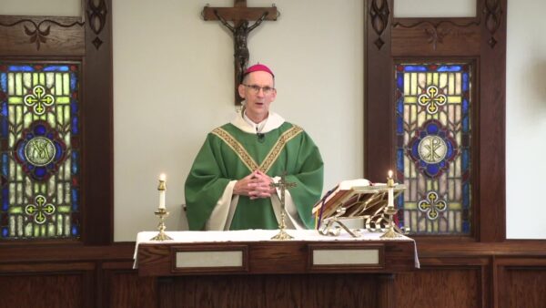 Catholic Mass- 23rd Sunday in Ordinary Time