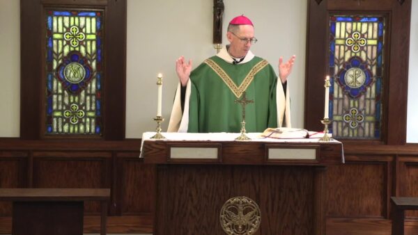 Catholic Mass- 25th Sunday in Ordinary Time
