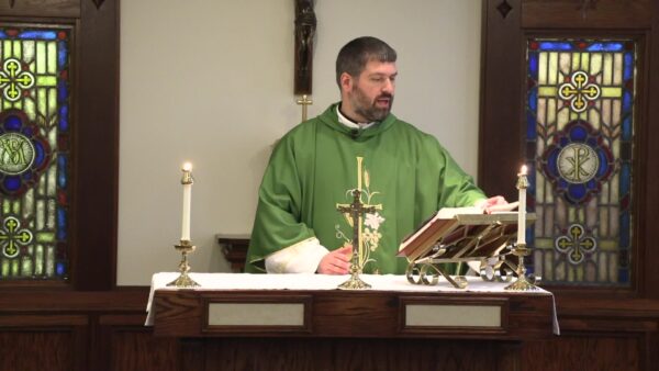 Catholic Mass- 27th Sunday in Ordinary Time