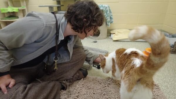 Lucy Mackenzie Humane Society- Autumn Adoptables
