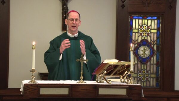 Catholic Mass- Seventh Sunday in Ordinary Time