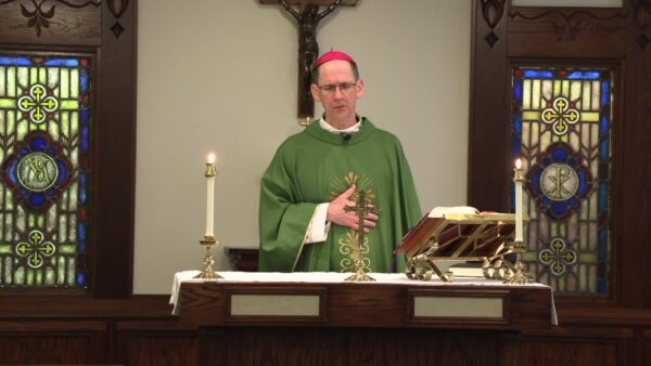 Catholic Mass- Eighth Sunday in Ordinary Time