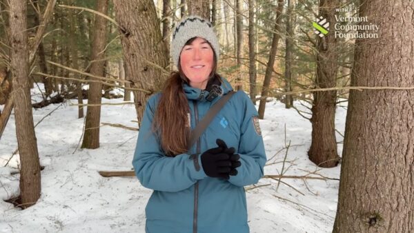 Stuck in Vermont- Where the Wild Things Are