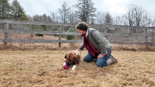 Lucy Mackenzie Humane Society- Adoptables