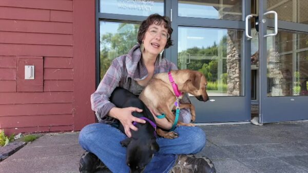 Lucy Mackenzie Humane Society- Adoptables